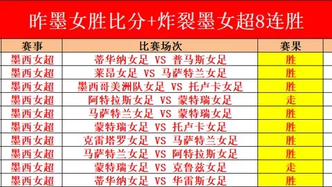 梅西美国场馆安保引担忧：一年半内遭16次闯入，事件累计超2200起